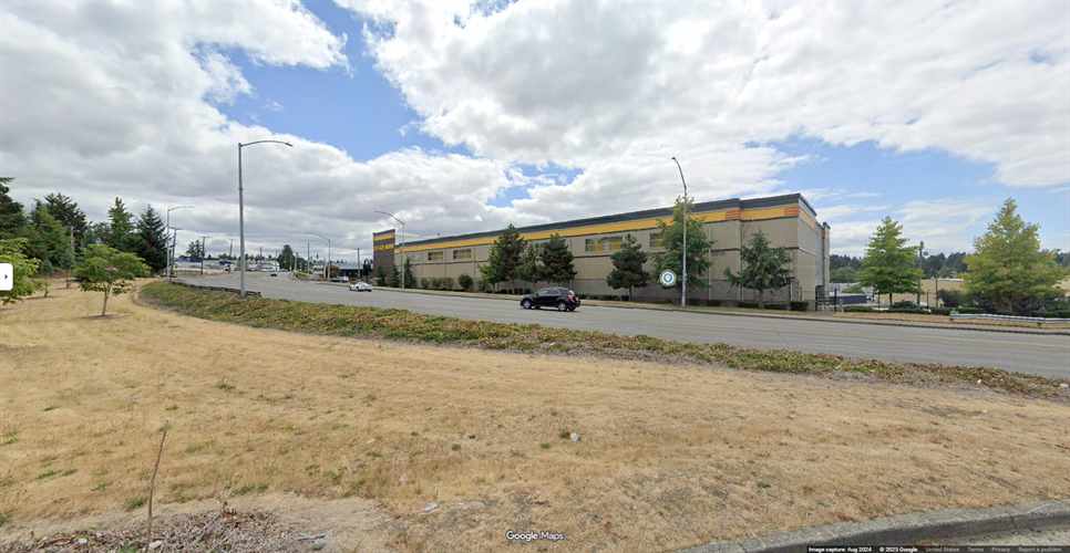 Daffodil Storage Tacoma