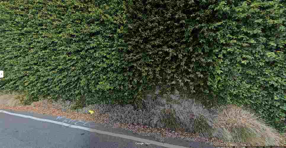 Neighbor Car Storage